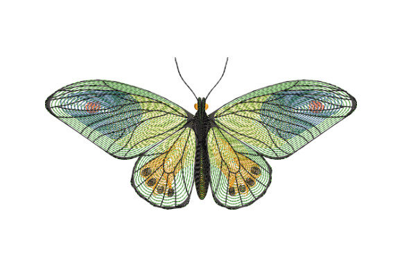 Graceful Green Butterfly